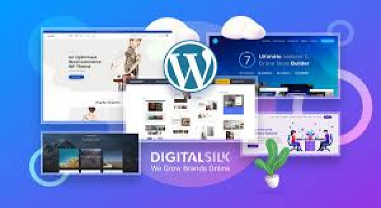 develop or customize WordPress websites